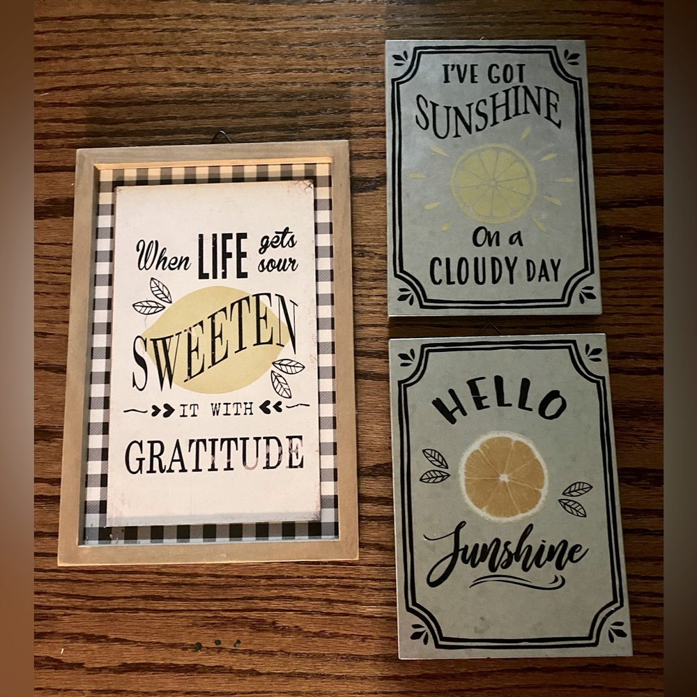 3 piece set Citrus themed metal Wall art